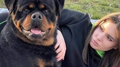 article